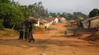 Photo of Sud-Kivu: Deux militaires FARDC tués par leur compagnon à Fizi